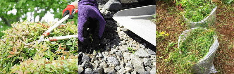 お墓の草取りや剪定、掃除のイメージ画像